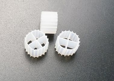 comprare Biofiltre per acquari RAS online manufacture