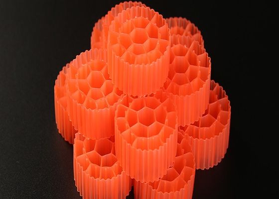 comprare Materiale di filtro in plastica in HDPE vergine con 19 fori e colore bianco per RAS online manufacture