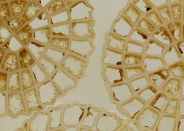 Tecnologia di aerazione MBBR Biochip portatori Trattamento delle acque municipali