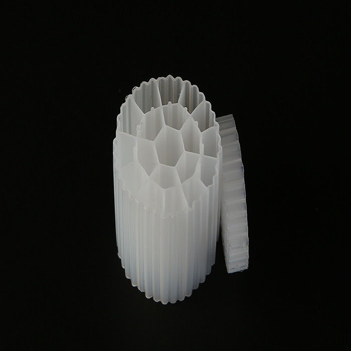 Biofilm Reattori di Biofilm per il trattamento delle acque reflue