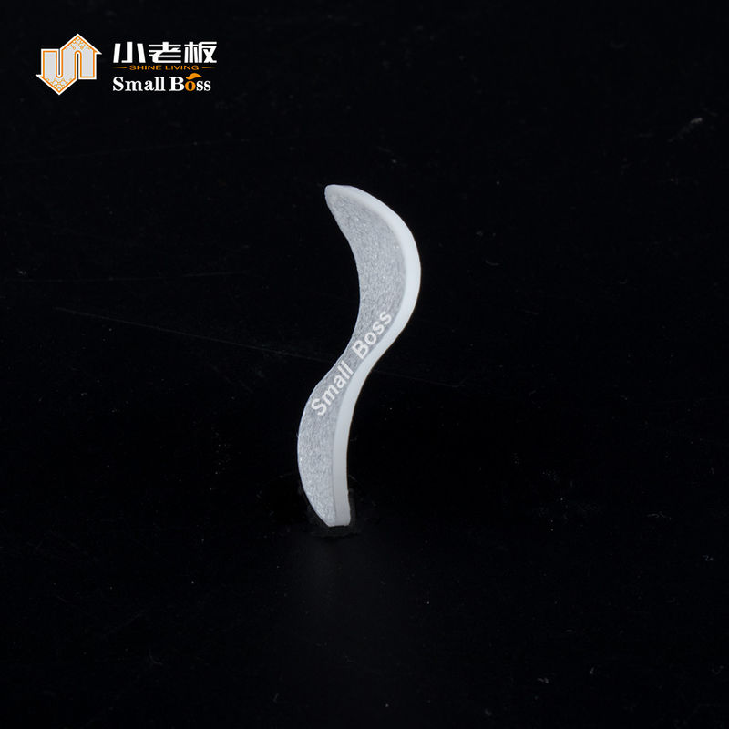 Piccoli Biochip Boss La scelta di prim'ordine per il reattore di biofilm mobile in acquacoltura