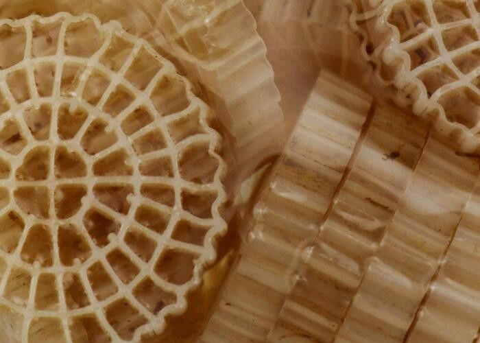 Materiale vergine HDPE MBBR Biofiltro in plastica con buona superficie