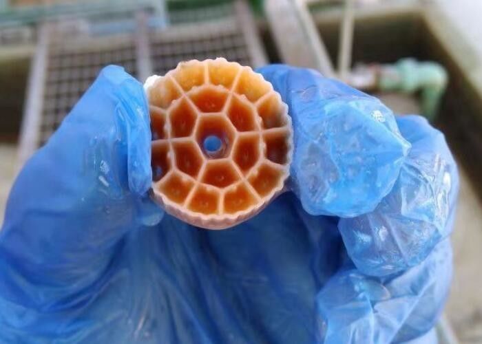 Materiale HDPE nero vergine MBBR Filtro di plastica per acquario 25 mm x 12 mm