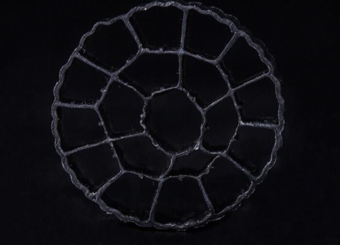 Materiale HDPE PE06 Bio Media, MBBR Filter Media 25mm X 12mm Colorato